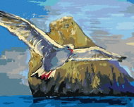 Zuty - Painting by Numbers - Seagull Flying Around a Stone, 80X100 Cm, Canvas - Painting by Numbers