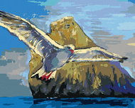 Zuty - Painting by Numbers - Seagull Flying Around a Stone, 40X50 Cm, Canvas+Frame - Painting by Numbers