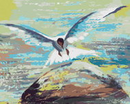 Zuty - Painting by Numbers - Seagull Flying Over Stone, 80X100 Cm, Canvas - Painting by Numbers