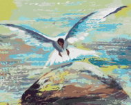 Zuty - Painting by Numbers - Seagull Flying Over Stone, 40X50 Cm, Canvas - Painting by Numbers