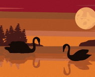 Zuty - Painting by Numbers - Two Swans on a Lake, 40X50 Cm, Canvas+Frame - Painting by Numbers