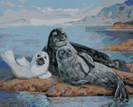 Zuty - Painting by Numbers - Family of Seals, 40X50 Cm, Canvas+Frame - Painting by Numbers