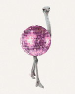 Zuty - Painting by Numbers - Ostrich as Disco Ball, 40X50 Cm, Canvas+Frame - Painting by Numbers