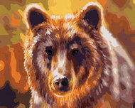 Zuty - Painting by Numbers - Bear Head, 40X50 Cm, Canvas - Painting by Numbers