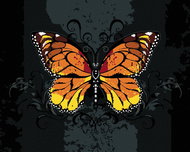 Zuty - Painting by Numbers - Orange Butterfly on Black Background, 40X50 Cm, Canvas+Frame - Painting by Numbers