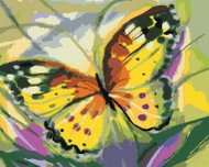 Zuty - Painting by Numbers - Butterfly Goldfinch, 40X50 Cm, Canvas - Painting by Numbers