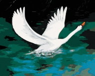 Zuty - Painting by Numbers - White Swan on Black Lake, 40X50 Cm, Canvas - Painting by Numbers