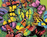 Zuty - Painting by Numbers - A Flock of Colorful Butterflies, 40X50 Cm, Canvas - Painting by Numbers