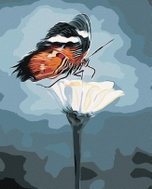 Zuty - Painting by Numbers - Butterfly On Flower, 40X50 Cm, Canvas - Painting by Numbers