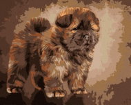 Zuty - Painting by Numbers - Puppy Chow Chow, 80X100 Cm, Canvas - Painting by Numbers