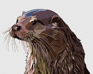 Zuty - Painting by Numbers - Painted Otter, 40X50 Cm, Canvas - Painting by Numbers