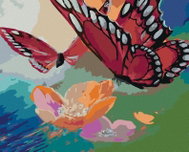 Zuty - Painting by Numbers - Two Butterflies on a Flower, 40X50 Cm, Canvas+Frame - Painting by Numbers