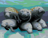 Zuty - Painting by Numbers - Seven Manatees (Robert Johnson), 40X50 Cm, Canvas+Frame - Painting by Numbers
