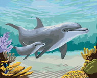 Zuty - Painting By Numbers - Dolphins And Corals (Robert Johnson), 40X50 Cm, Canvas - Painting by Numbers