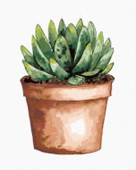 Zuty - Painting by Numbers - Succulent In Brown Flower Pot (Alexandria Gilbert), 80X100 Cm, Canvas - Painting by Numbers