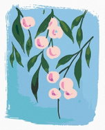 Zuty - Painting by Numbers - Pink Berries (Alexandria Gilbert), 80X100 Cm, Canvas - Painting by Numbers