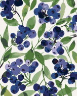 Zuty - Painting by Numbers - Blueberries and Leaves (Alexandria Gilbert), 80X100 Cm, Canvas - Painting by Numbers