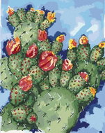 Zuty - Painting by Numbers - Cactus (Alexandria Gilbert), 40X50 Cm, Canvas+Frame - Painting by Numbers