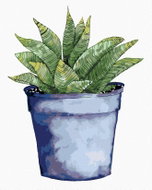 Zuty - Painting By Numbers - Succulent In Blue Flower Pot (Alexandria Gilbert), 40X50 Cm, Canvas+Fra - Painting by Numbers