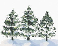 Zuty - Painting by Numbers - Three Coniferous Trees and Snow (Alexandria Gilbert), 40X50 Cm, Canvas+ - Painting by Numbers