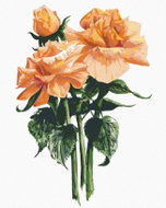 Zuty - Painting by Numbers - Orange Roses (Alexandria Gilbert), 80X100 Cm, Canvas - Painting by Numbers