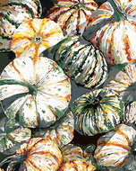 Zuty - Painting by Numbers - Pumpkin (Alexandria Gilbert), 80X100 Cm, Canvas - Painting by Numbers