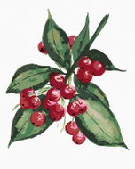 Zuty - Painting by Numbers - Holly Tree Branch With Red Fruits (Alexandria Gilbert), 80X100 Cm - Painting by Numbers