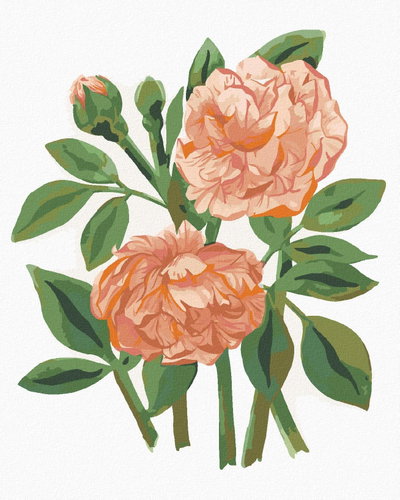Zuty - Painting by Numbers - Roses (Alexandria Gilbert), 80X100 Cm, Canvas+Frame - Painting by Numbers - Main image