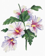 Zuty - Painting by Numbers - Flower of Sharon (Alexandria Gilbert), 80X100 Cm, Canvas+Frame - Painting by Numbers