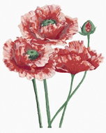 Zuty - Painting by Numbers - Wolf Poppy Three Flowers (Alexandria Gilbert), 80X100 Cm, Canvas+Frame - Painting by Numbers
