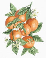 Zuty - Painting by Numbers - Oranges on a Branch (Alexandria Gilbert), 80X100 Cm, Canvas - Painting by Numbers