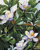 Zuty - Painting by Numbers - White Flowers Magnolias And Leaves (Alexandria Gilbert), 40X50 Cm, Canv - Painting by Numbers