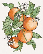 Zuty - Painting by Numbers - Branches and Oranges (Alexandria Gilbert), 40X50 Cm, Canvas+Frame - Painting by Numbers