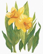 Zuty - Painting by Numbers - Yellow Daffodils (Alexandria Gilbert), 40X50 Cm, Canvas+Frame - Painting by Numbers