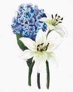Zuty - Painting By Numbers - Lilies And Hydrangeas (Alexandria Gilbert), 40X50 Cm, Canvas - Painting by Numbers