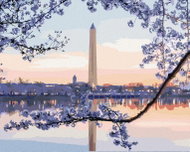 Zuty - Painting by Numbers - Flowering Tree of Washington Monument (Ted Davis), 40X50 Cm, Canvas - Painting by Numbers