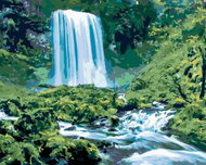 Zuty - Painting by Numbers - Waterfalls and Wildlife (Ted Davis), 80X100 Cm, Canvas - Painting by Numbers