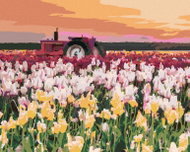 Zuty - Painting By Numbers - Tulips In The Field (Ted Davis), 40X50 Cm, Canvas - Painting by Numbers