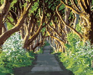Zuty - Painting by Numbers - Road Surrounded by Trees (Ted Davis), 40X50 Cm, Canvas+Frame - Painting by Numbers