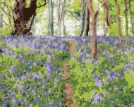Zuty - Painting by Numbers - Flowers And Trees, Ireland (Ted Davis), 40X50 Cm, Canvas - Painting by Numbers