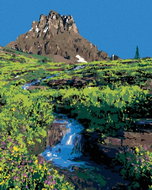 Zuty - Painting by Numbers - Mountain And River Between Flowers (Ted Davis), 40X50 Cm, Canvas - Painting by Numbers