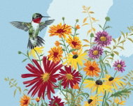 Zuty - Painting by Numbers - Kingfisher and Flowers (Abraham Hunter), 40X50 Cm, Canvas+Frame - Painting by Numbers