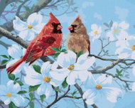 Zuty - Painting by Numbers - Cardinal Bird in Spring (Abraham Hunter), 40X50 Cm, Canvas - Painting by Numbers