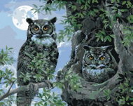 Zuty - Painting by Numbers - Owl in a Tree and the Moon (Abraham Hunter), 40X50 Cm, Canvas+Frame - Painting by Numbers