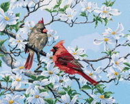 Zuty - Painting by Numbers - Cardinal Bird on a Blossoming Branch in Spring (Abraham Hunter), 40X50  - Painting by Numbers