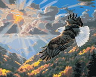 Zuty - Painting by Numbers - Sunrise and Bald Eagle in Flight (Abraham Hunter), 40X50 Cm, Canvas - Painting by Numbers