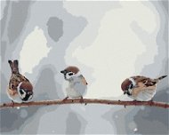 Zuty - Painting by Numbers - Little Birds on a Branch, 80X100 Cm, Canvas+Frame - Painting by Numbers