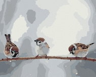 Zuty - Painting by Numbers - Little Birds on a Branch, 40X50 Cm, Canvas+Frame - Painting by Numbers