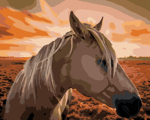 Zuty - Painting by Numbers - Horse at Sunset, 80X100 Cm, Canvas+Frame - Painting by Numbers - Main image