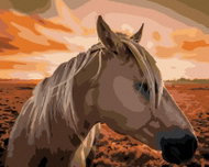 Zuty - Painting by Numbers - Horse at Sunset, 40X50 Cm, Canvas+Frame - Painting by Numbers